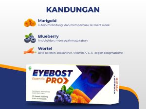 eyebost dan eyebost pro