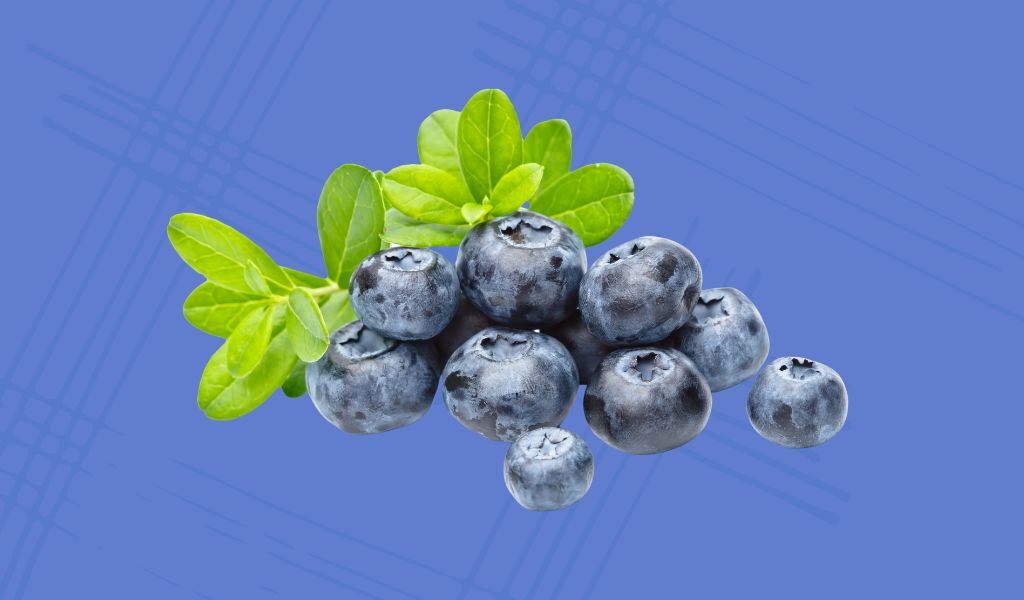 buah bilberry