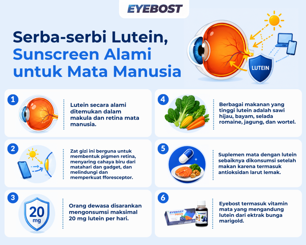Infografis Lutein untuk Mata